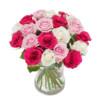 Tiivis ruusukimppu vaaleanpunaisista ja valkoisista ruusuista, ei koristevihreitä